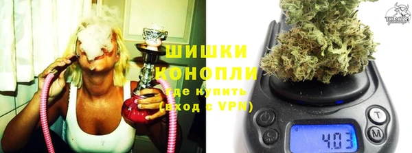 прущие грибы Богородицк