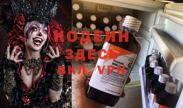 прущие грибы Богородицк