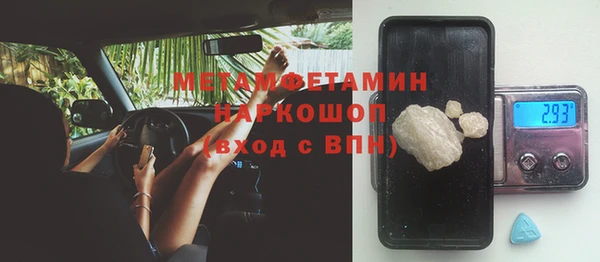 прущие грибы Богородицк