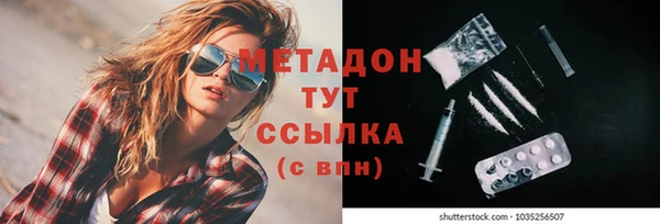 прущие грибы Богородицк