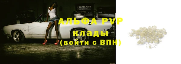 прущие грибы Богородицк