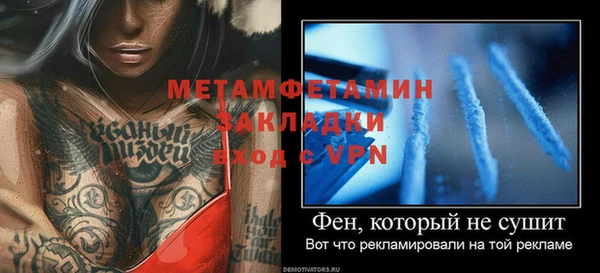 прущие грибы Богородицк